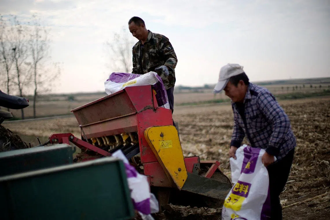 Explainer-How does the Iran war affect fertiliser supplies, prices and food security?
