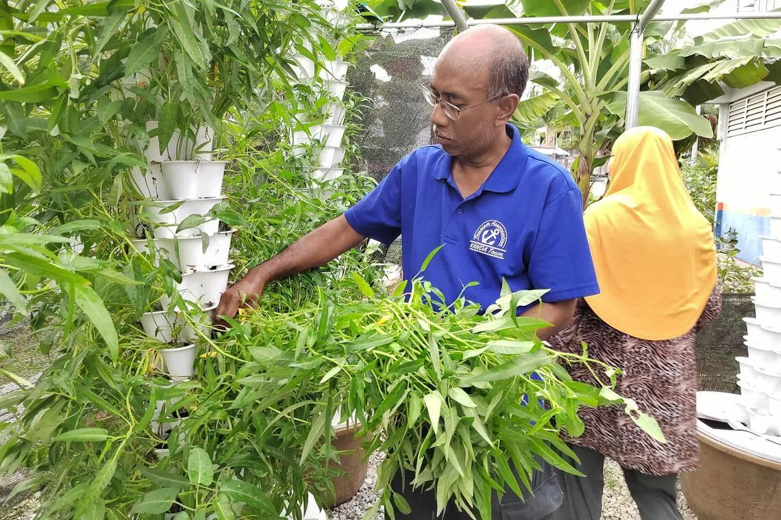 Expected price hikes for feed, fertilisers in Malaysia may have spillover effect on S’pore