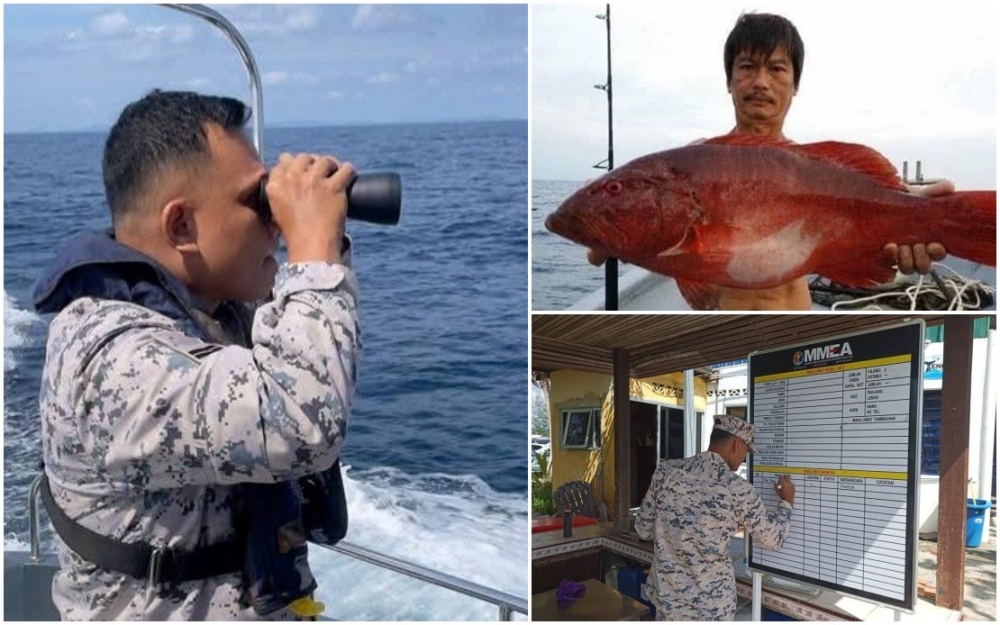 Search resumes for 66-year-old diver missing near Pulau Tenggol since Raya eve