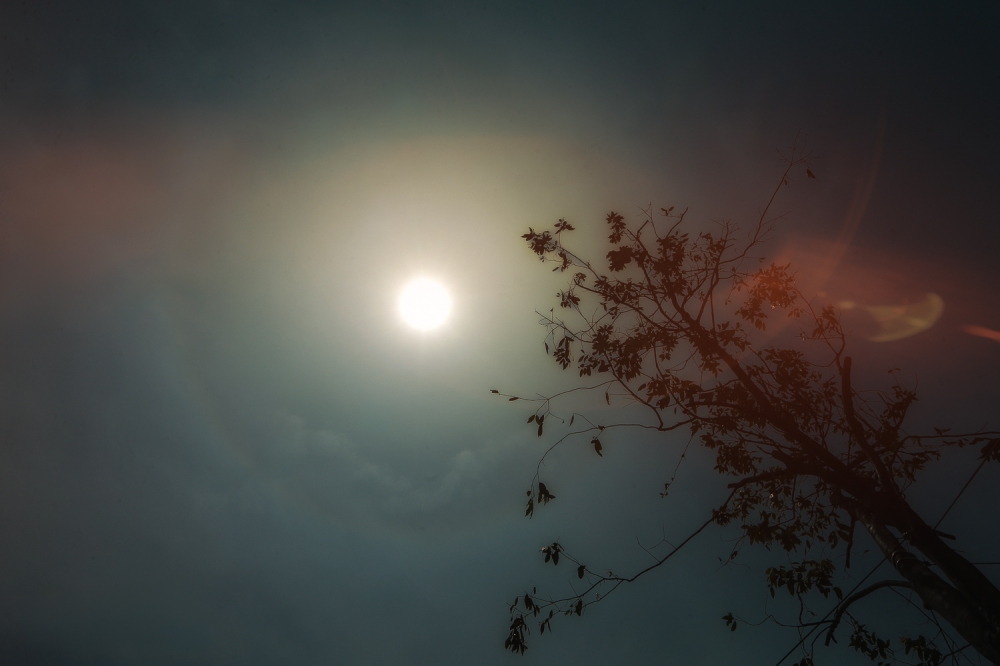 Hot and dry weather hits Padang Terap in Kedah at heatwave level as public urged to stay indoors